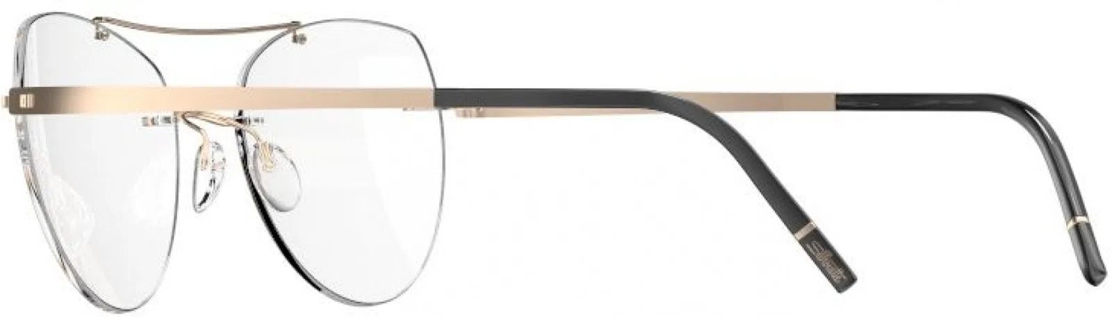 Silhouette Momentum Aurum Demo Rimless L009 Eyeglasses - view 20
